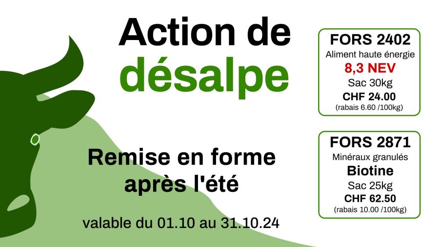 ad24_action2402.jpg